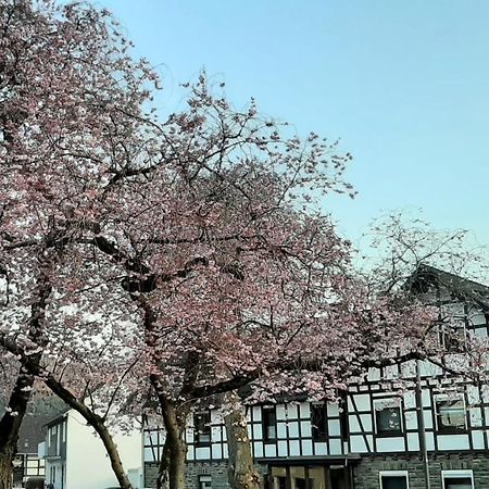 Vivanatura Eifelferienhaus Einruhr Bagian luar foto