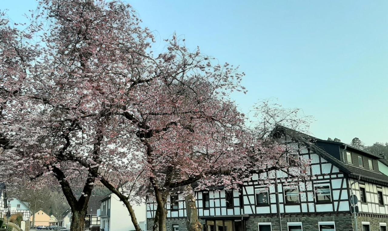 Vivanatura Eifelferienhaus Einruhr Bagian luar foto